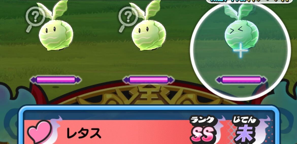 レタス出現ステージ