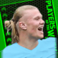 TPアーリングハーランド(05/09)画像