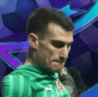 HPドミニクリヴァコヴィッチ(05/09)画像