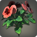 草原の紅花の画像