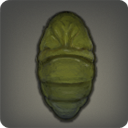 発掘隊向けの蚕蛹の画像