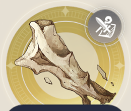 巨獣の化石の画像