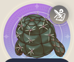 生きたサボテンの画像