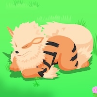 ウインディの星2寝顔画像