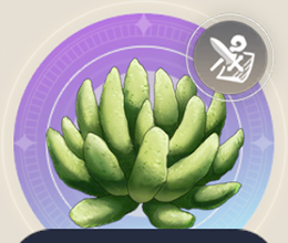 フヨプヨリーフの画像