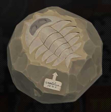 貴重な石化コア画像