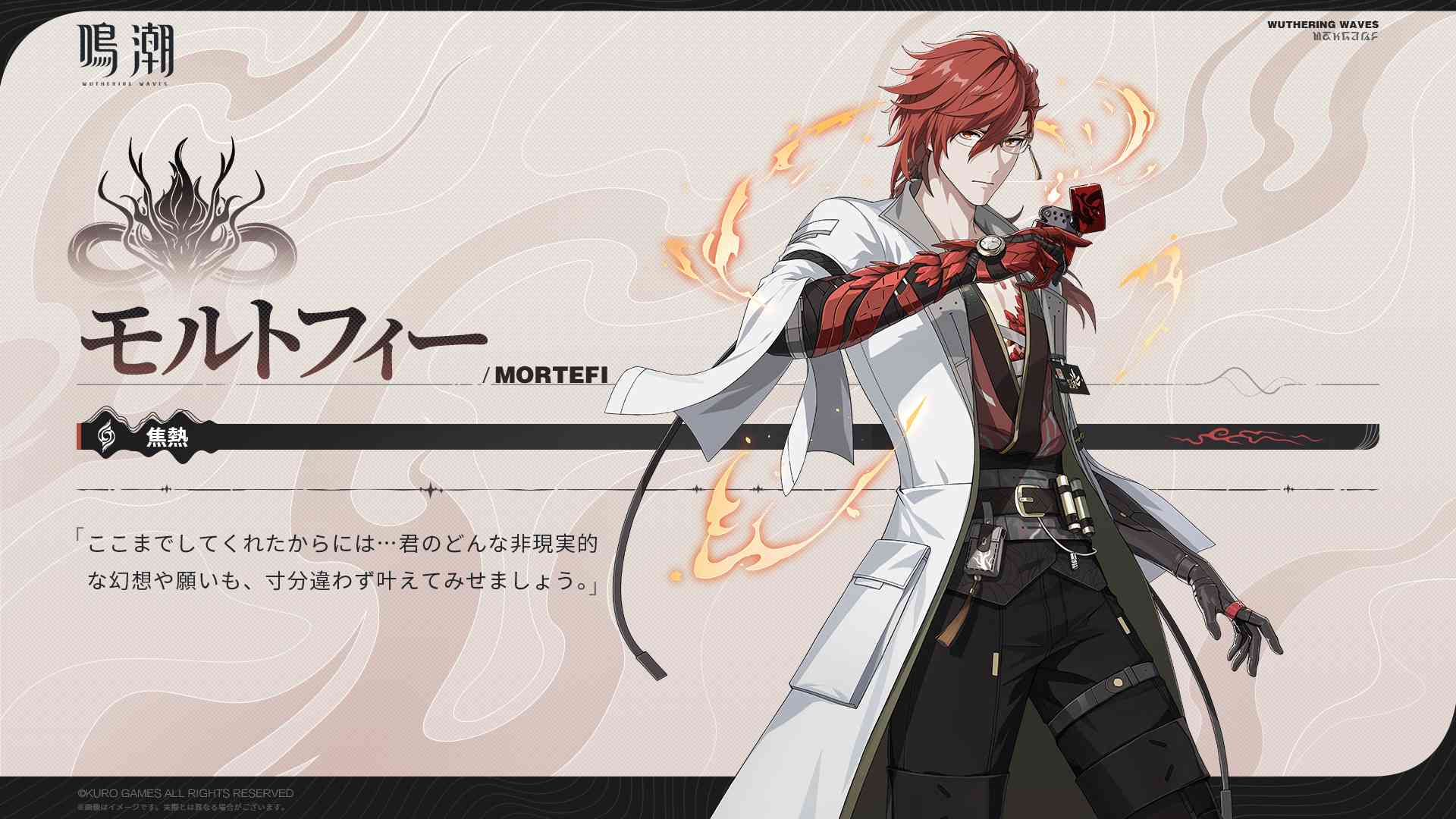 モルトフィー画像