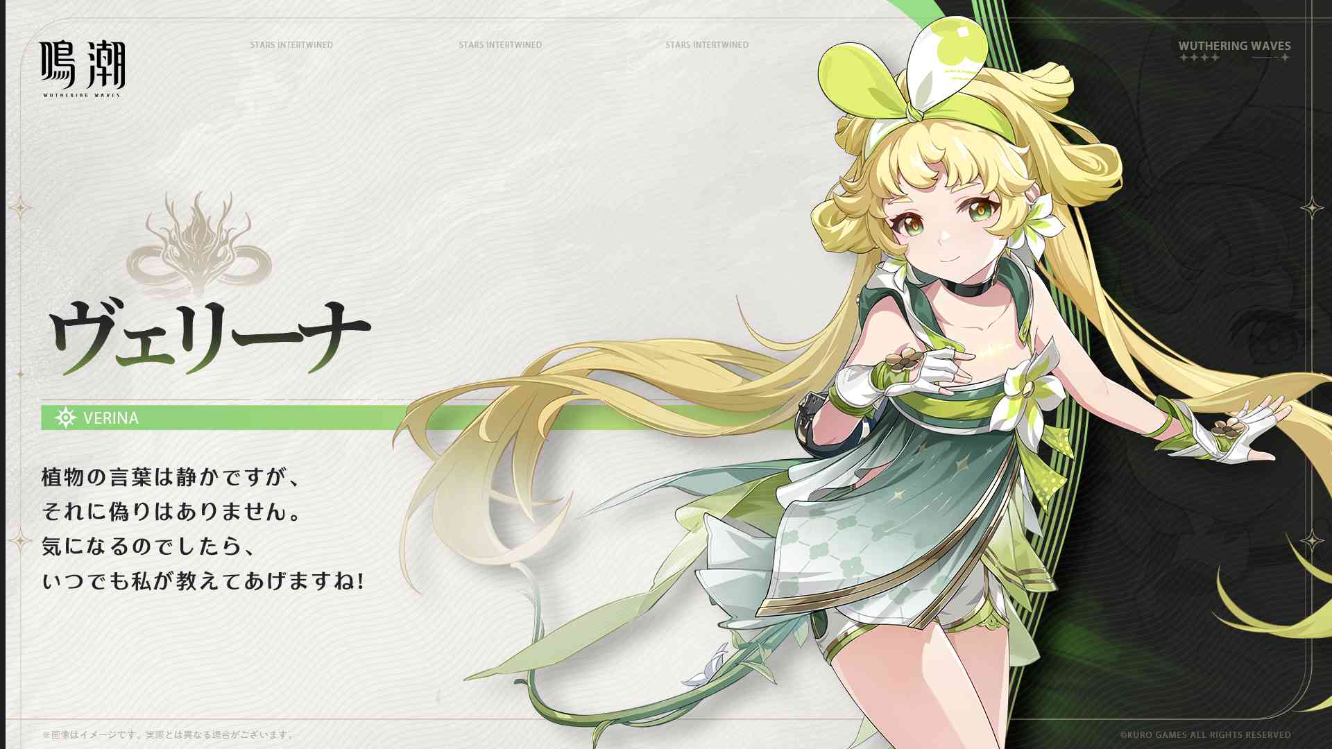 ヴェリーナ画像