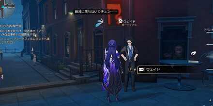 ウェイド見た目