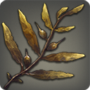 飼料用の海藻の画像