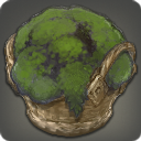 飼料用の苔の画像