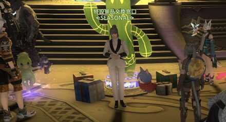 ゴールドソーサーフェスNPC