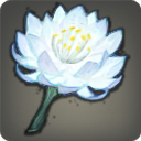 環境改善用の草花の画像