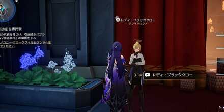 レディ・ブラッククロー見た目