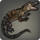 第四次復興用の特注カイマンの画像