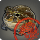 第三次復興用の上級トード【検】の画像