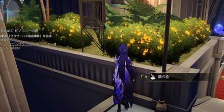 オーディション会場小鳥17