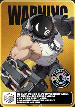 ホロウ荒らし・殴り屋画像