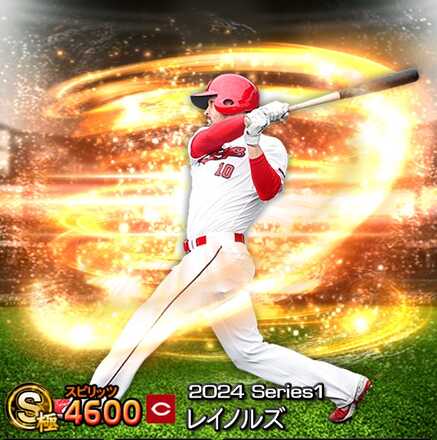 レイノルズ画像