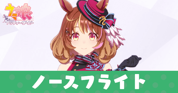 ［Looking Fly!］ノースフライト