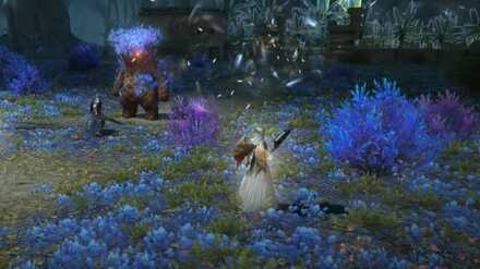 学者新アクション6