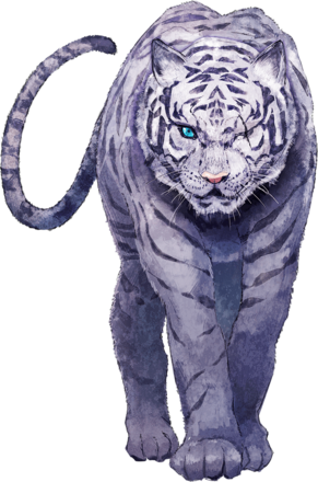 ビャッコの画像