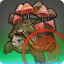 第三次復興用の幻土陸亀【検】の画像