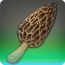 昇華スポンゴス茸の画像