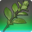 昇華ミロバランリーフの画像