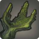 クァールレギナの枝角の画像