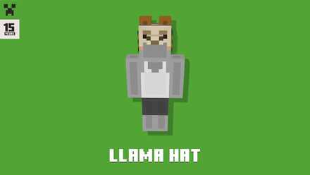 15Days_Llama Hat