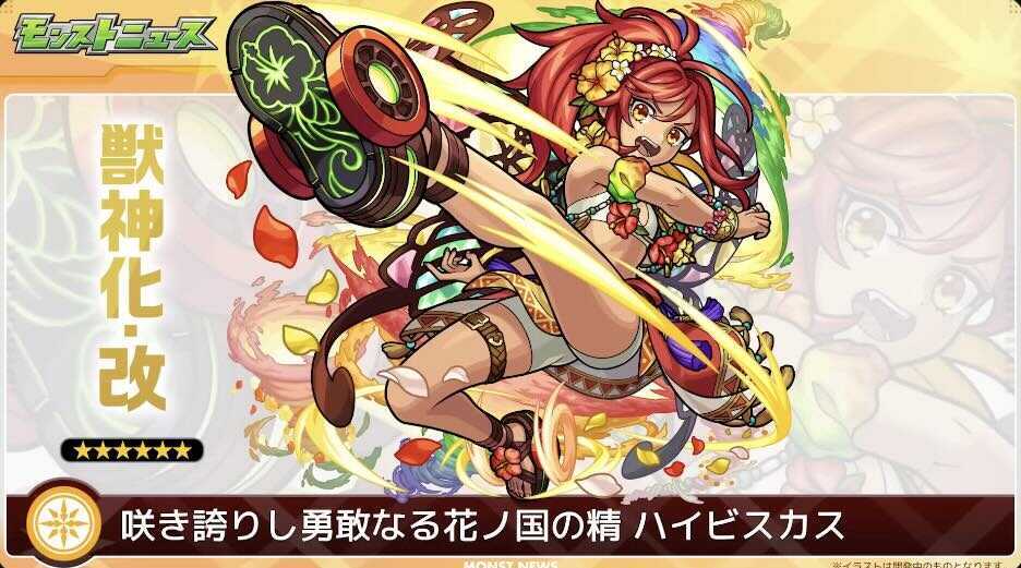 ハイビスカス バナー