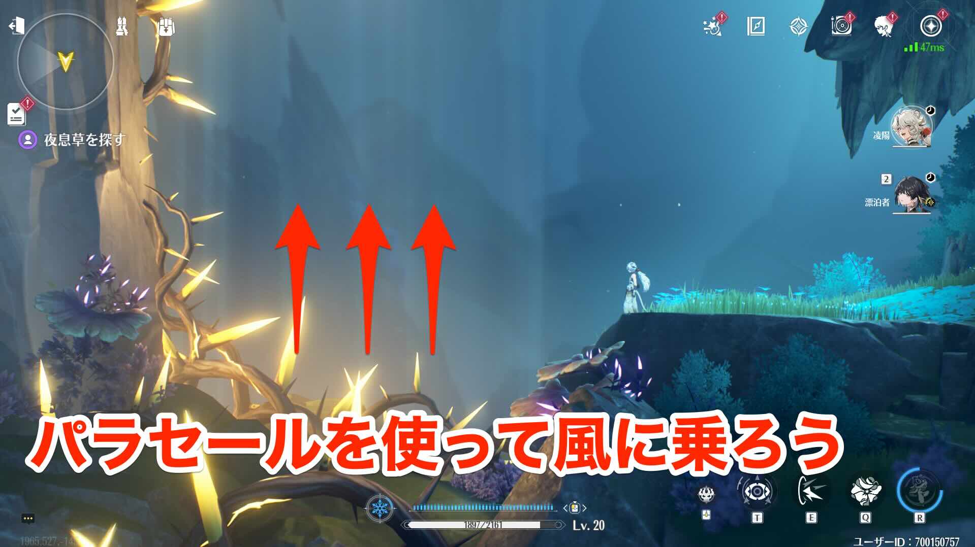 パラセールを使う