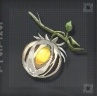 ブドウホオズキ画像