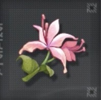 オオゴチョウ画像