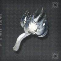 チユウキンレン画像