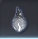 粗品結晶燃素画像