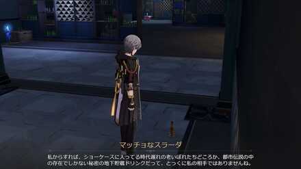 マッチョなスラーダとの再会 mode: original