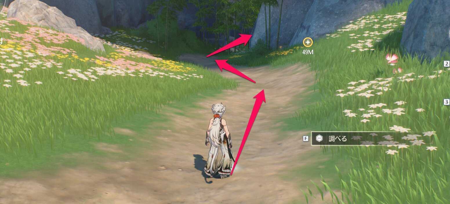 道を下っていく場所の画像