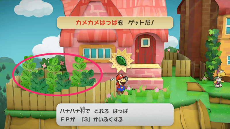 カメカメはっぱの場所