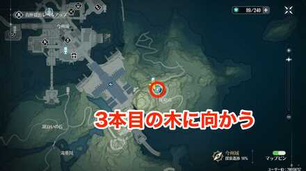 ガイドに従って3本目の木に向かう