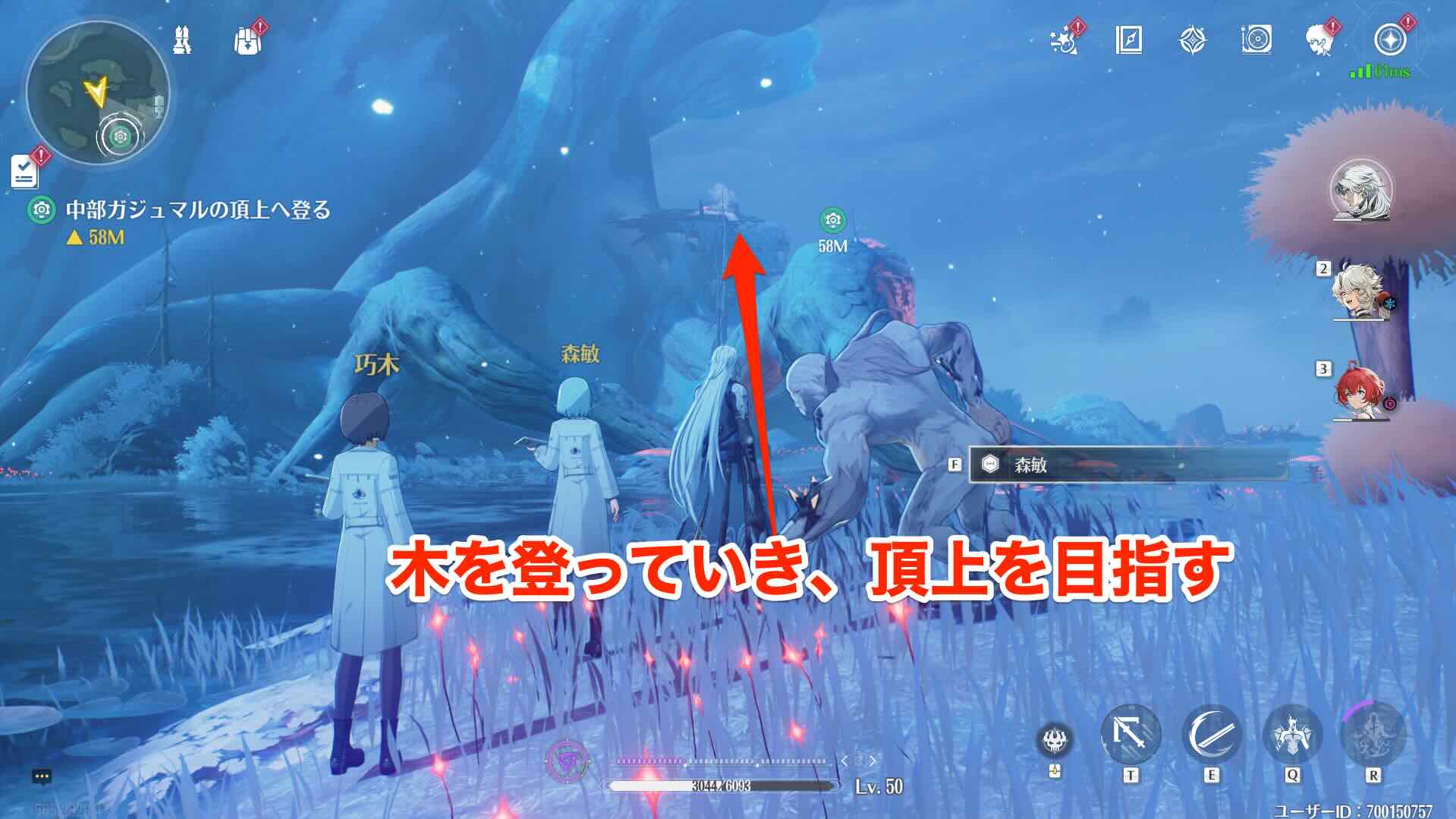 カジュマルの頂上を目指す