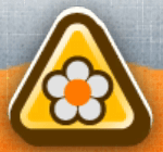 フラワーフエール画像