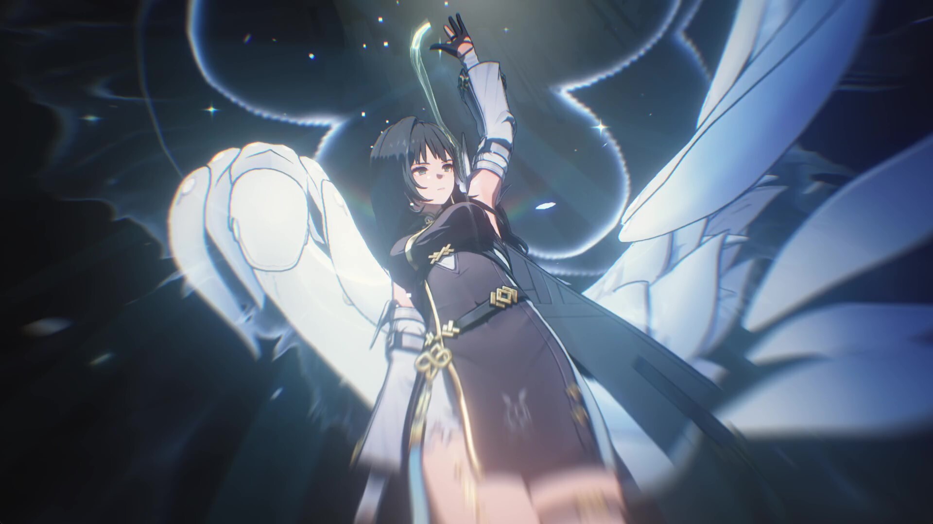 白芷のカットイン画像