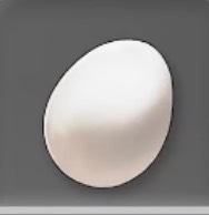 卵画像