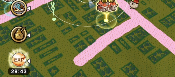 経験の珠を使って獲得経験値アップ