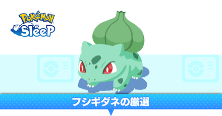 フシギダネ厳選