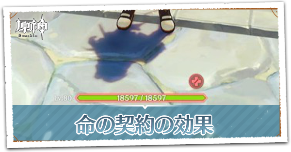 命の契約