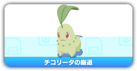 チコリータ厳選