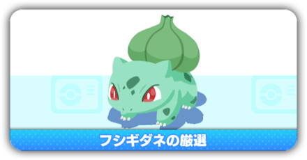 フシギダネ厳選